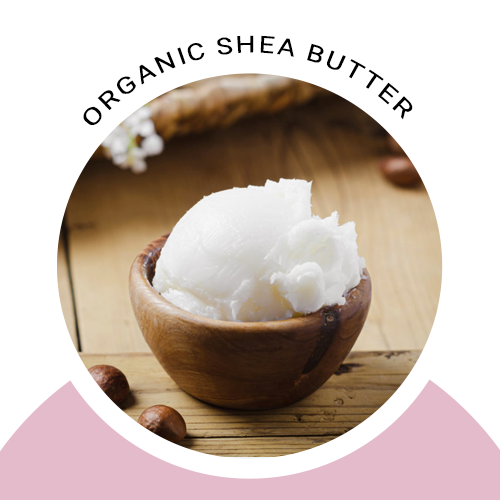 Organic shea butter ingredient graphic with bowl of creamy shea butter and nuts.