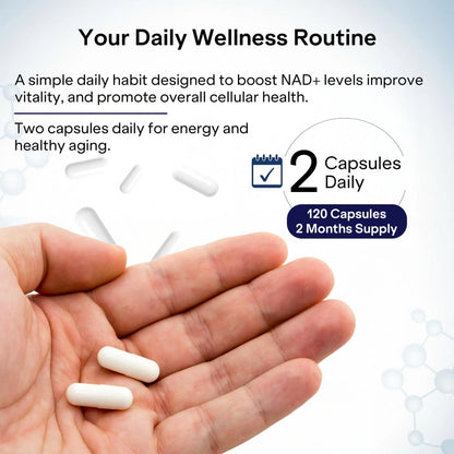 Two white capsules in hand with daily wellness routine callout for NAD+ support